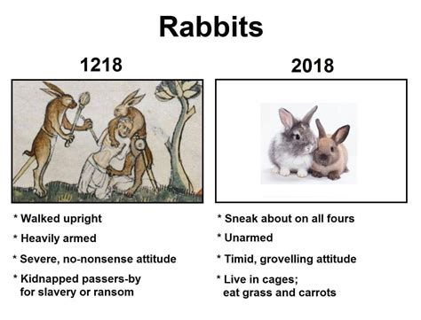 When Bunnies Bite: The Danger and Damage Caused by the Were Rabbit Curse